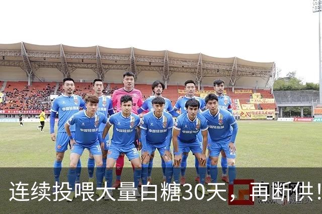 连续投喂大量白糖30天，再断供！国外网红扮“蚂蚁天神”整蛊野生蚁群
