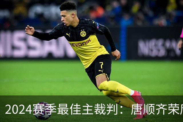 2024赛季最佳主裁判：唐顺齐荣膺金哨 马宁铜哨
